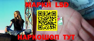 гидра Кандалакша