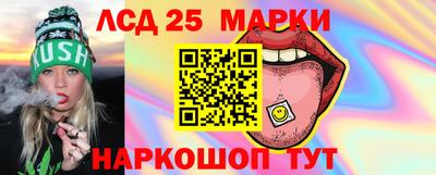 гидра Кандалакша