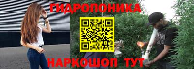 крисы Канаш