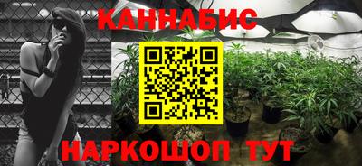 крисы Канаш
