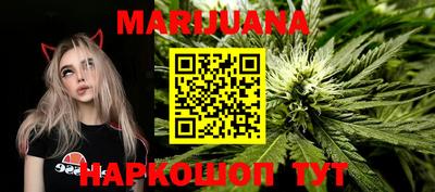 гидра Кандалакша