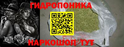 гидра Кандалакша
